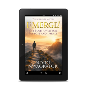 Emerge! Get Positioned for Purpose and Impact